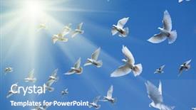  Presentation with white dove - Presentation theme enhanced with white dove - pigeons in the sky background and a teal colored foreground