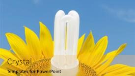  Presentation with eco friendly - PPT theme featuring white eco bulb in sunflower background and a gold colored foreground