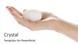  Presentation with waiter hand in white glove - Audience pleasing slide set consisting of white egg on hand isolated backdrop and a white colored foreground