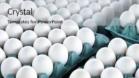  Presentation with packaging - Slide deck with white eggs on a tray background and a light gray colored foreground