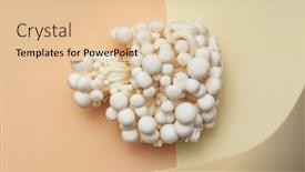  Presentation with mushrooms - Beautiful slide deck featuring white-enoki-mushrooms-top-view backdrop and a lemonade colored foreground