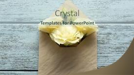  Presentation with envelope - Colorful PPT layouts enhanced with white eustoma in envelope on wooden background backdrop and a lemonade colored foreground