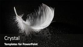  Presentation with feather - Cool new slide deck with white-feather-on-black-reflective backdrop and a dark gray colored foreground