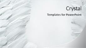  Presentation with feather - Cool new presentation theme with white feather backdrop and a white colored foreground