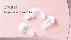  Presentation with pastel pink - Theme with lite - white feathers on pastel pink background and a lemonade colored foreground
