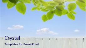  Presentation with green house - Beautiful presentation featuring white fence and green grass backdrop and a  colored foreground