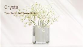  Presentation with gray - PPT theme featuring white-flower-bouquet-in-vase background and a cream colored foreground