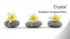  Presentation with zen stones - Amazing PPT theme having white flower in stack zen backdrop and a white colored foreground