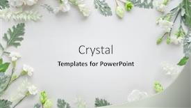  Presentation with leaves flat lay - PPT theme consisting of white-flowers-and-silver-green background and a white colored foreground