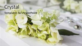  Presentation with white wedding - Slides with white flowers at a wedding background and a soft green colored foreground
