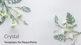  Presentation with leaves flat lay - Slide set featuring white-flowers-of-carnation background and a light gray colored foreground