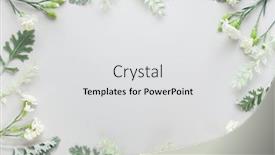  Presentation with leaves flat lay - Audience pleasing slide set consisting of white-flowers-of-carnation backdrop and a light gray colored foreground