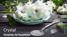  Presentation with jasmine - Presentation consisting of white flowers of jasmine background and a dark gray colored foreground