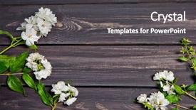  Presentation with jasmine - Cool new theme with white flowers of jasmine backdrop and a dark gray colored foreground