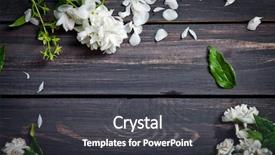  Presentation with jasmine - Beautiful slide deck featuring white flowers of jasmine backdrop and a dark gray colored foreground