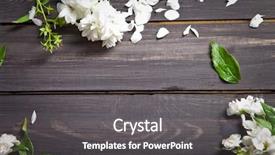  Presentation with jasmine - Amazing slide deck having white flowers of jasmine backdrop and a dark gray colored foreground