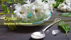  Presentation with jasmine - PPT layouts having white flowers of jasmine background and a tawny brown colored foreground