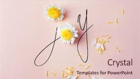  Presentation with pink flowers - PPT theme with white flowers on pink background and a lemonade colored foreground