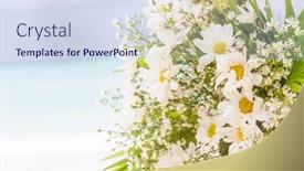  Presentation with wedding white - 