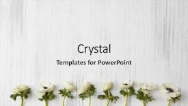  Presentation with white flowers - Amazing PPT theme having white flowers on white background backdrop and a white colored foreground