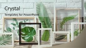 Presentation with grey black white brick - Amazing slide deck having white frames with green leaves backdrop and a sky blue colored foreground