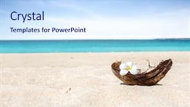  Presentation with flower - Colorful presentation design enhanced with white frangipani flower in frangipani backdrop and a sky blue colored foreground