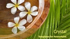  Presentation with palm - Beautiful PPT theme featuring destress - white frangipani in wooden bowl backdrop and a tawny brown colored foreground