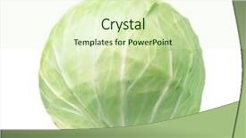  Presentation with cabbage - Presentation having white fresh cabbage head isolated background and a soft green colored foreground