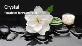  Presentation with green leaf - Colorful PPT theme enhanced with white gardenia and green leaf backdrop and a dark gray colored foreground