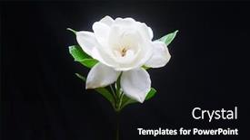  Presentation with stem - Cool new PPT theme with white-gardenia-flower-with-stem backdrop and a black colored foreground
