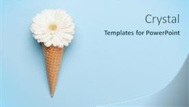  Presentation with ice cream cone - Slide deck consisting of white-gerbera-flower-in-ice background and a sky blue colored foreground