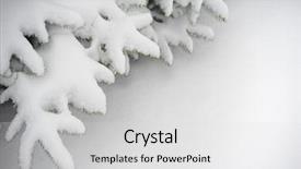  Presentation with snow tree - Slide deck consisting of white glossy frame - fir-tree branch covered with snow background and a  colored foreground