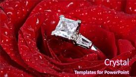  Presentation with gold diamond - Amazing slides having white gold diamond ring backdrop and a wine colored foreground
