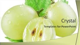  Presentation with paths - Audience pleasing slides consisting of white grape berries with green leaf clipping paths backdrop and a soft green colored foreground
