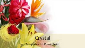  Presentation with greeting card - Slide set consisting of white greeting card with colorful background and a yellow colored foreground