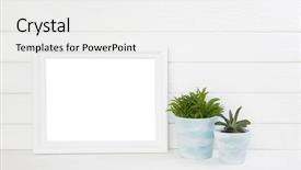  Presentation with promotion - Audience pleasing theme consisting of white grey old wooden background backdrop and a white colored foreground