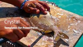  Presentation with caribbean - Slide deck featuring white-grunt-fish-unwind background and a red colored foreground