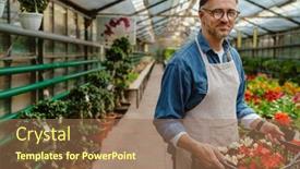  Presentation with white flowers - PPT theme having white-happy-man-wearing-apron background and a coral colored foreground