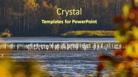  Presentation with artificial intelligence white - Presentation theme with white-heron-ardea-alba-egretta background and a tawny brown colored foreground