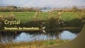  Presentation with stream - Slide deck consisting of white-heron-at-a-stream background and a tawny brown colored foreground