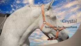  Presentation with horse head - Cool new PPT layouts with white-horse-head-in-harness backdrop and a mint green colored foreground