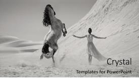  Presentation with white horse - PPT theme consisting of white horse on a desert background and a light gray colored foreground