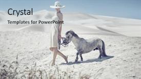  Presentation with white horse - Presentation having white horse on a desert background and a light blue colored foreground