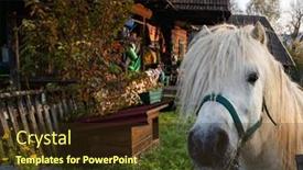  Presentation with white horse - PPT layouts having white-horse-portrait-looking-through background and a tawny brown colored foreground