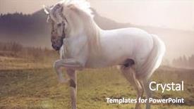  Presentation with white horse - Cool new slides with white horse backdrop and a coral colored foreground