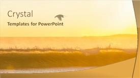  Presentation with national - Presentation theme having white-ibis-in-a-everglades background and a cream colored foreground