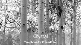  Presentation with yosemite - Audience pleasing PPT theme consisting of white image of aspen backdrop and a gray colored foreground