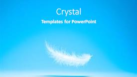  Presentation with feather - Theme having white-light-feather-shadow-isolated background and a light gray colored foreground