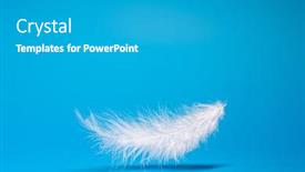  Presentation with feather - Presentation consisting of white-light-feather-shadow background and a teal colored foreground