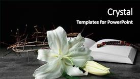  Presentation with easter lily - Presentation featuring white lily with holy bible background and a black colored foreground